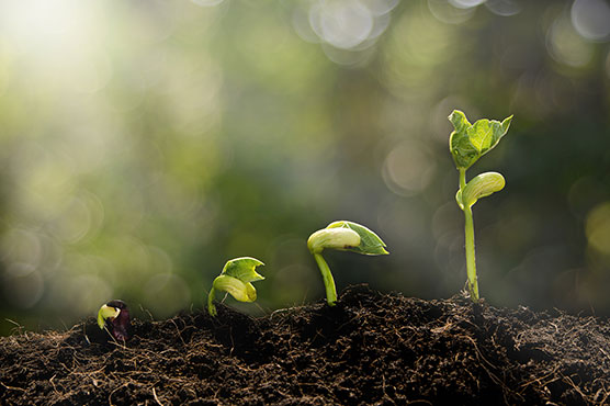 Integrative Environmental Health: An Introduction (2026-2028) Banner