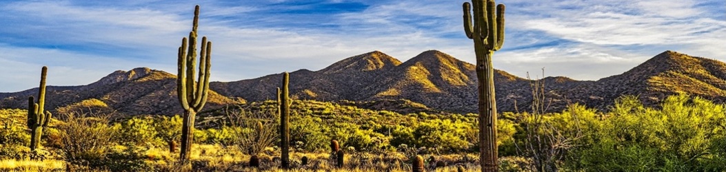 ENT in the Desert 2026 Banner