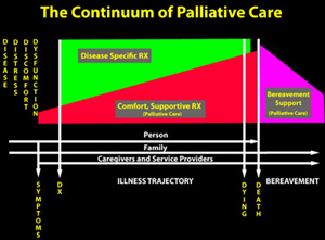 Introduction to the Practice of Palliative Medicine 2026-2029 Banner