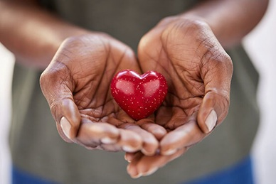 Integrative Cardiology - The Basics, Nutrition and CVD Risks (2026-2028) Banner